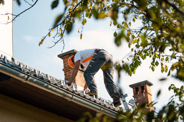 Best Flat Roof Repair Services  in Washington, IL